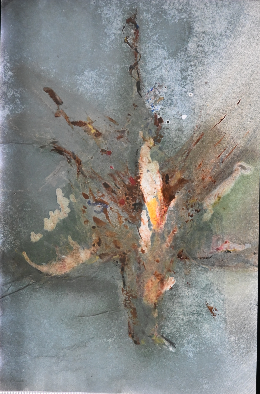 Jagdbeute #4 hinterleuchtet