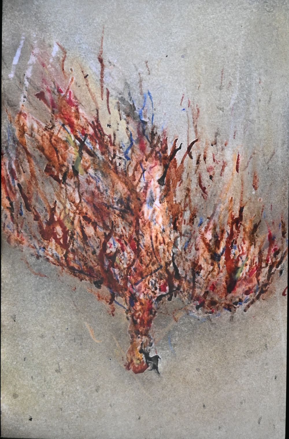 Jagdbeute #5 hinterleuchtet